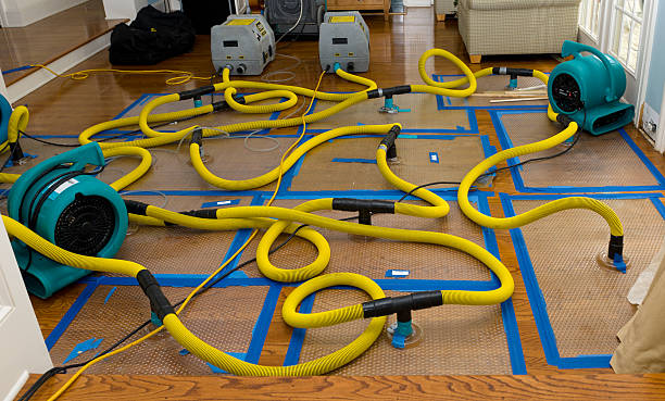 Professional Crawl Space Water Removal technician working in Bradford, NH